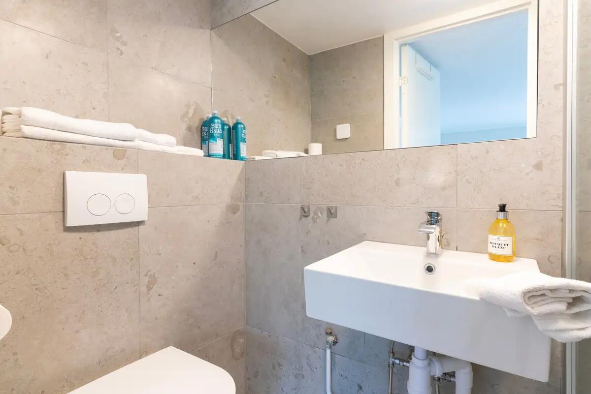 Modern bathroom with shower