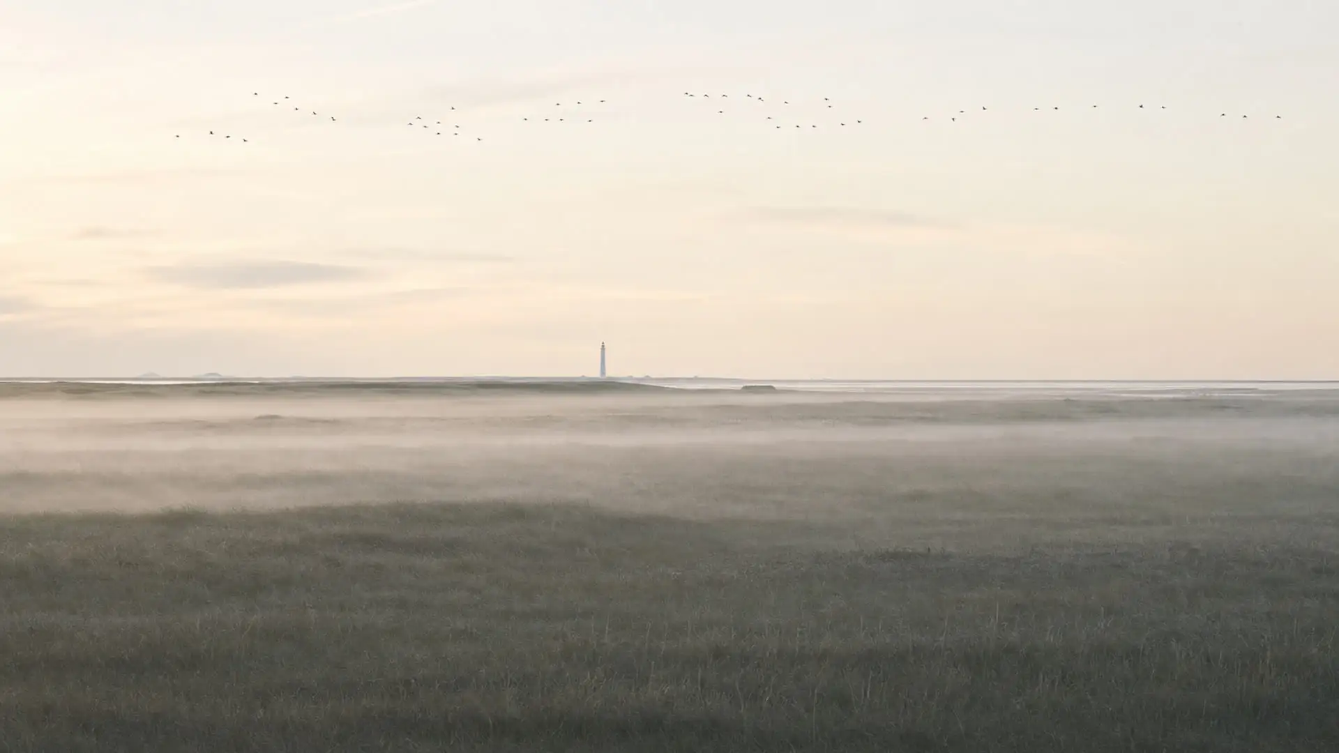 Mist over the salt meadow at the southern tip of the peninsula at dawn, with the lighthouse and migrating birds