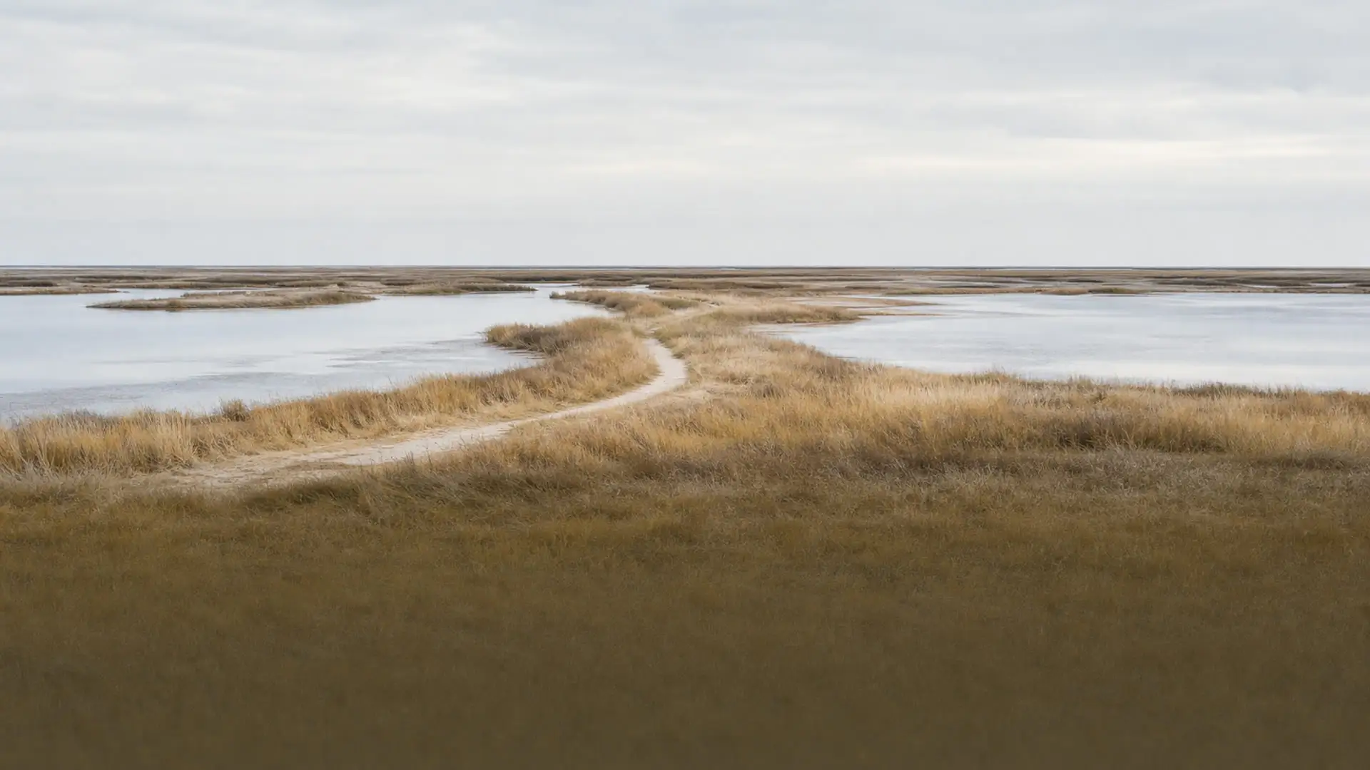 Salt meadows and shallow lagoons in autumn colours, a narrow path winding into the distance