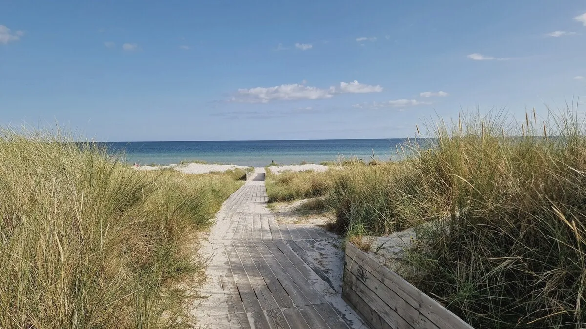 Wooden boardwalk through the dunes down to the sea at Falsterbo beach