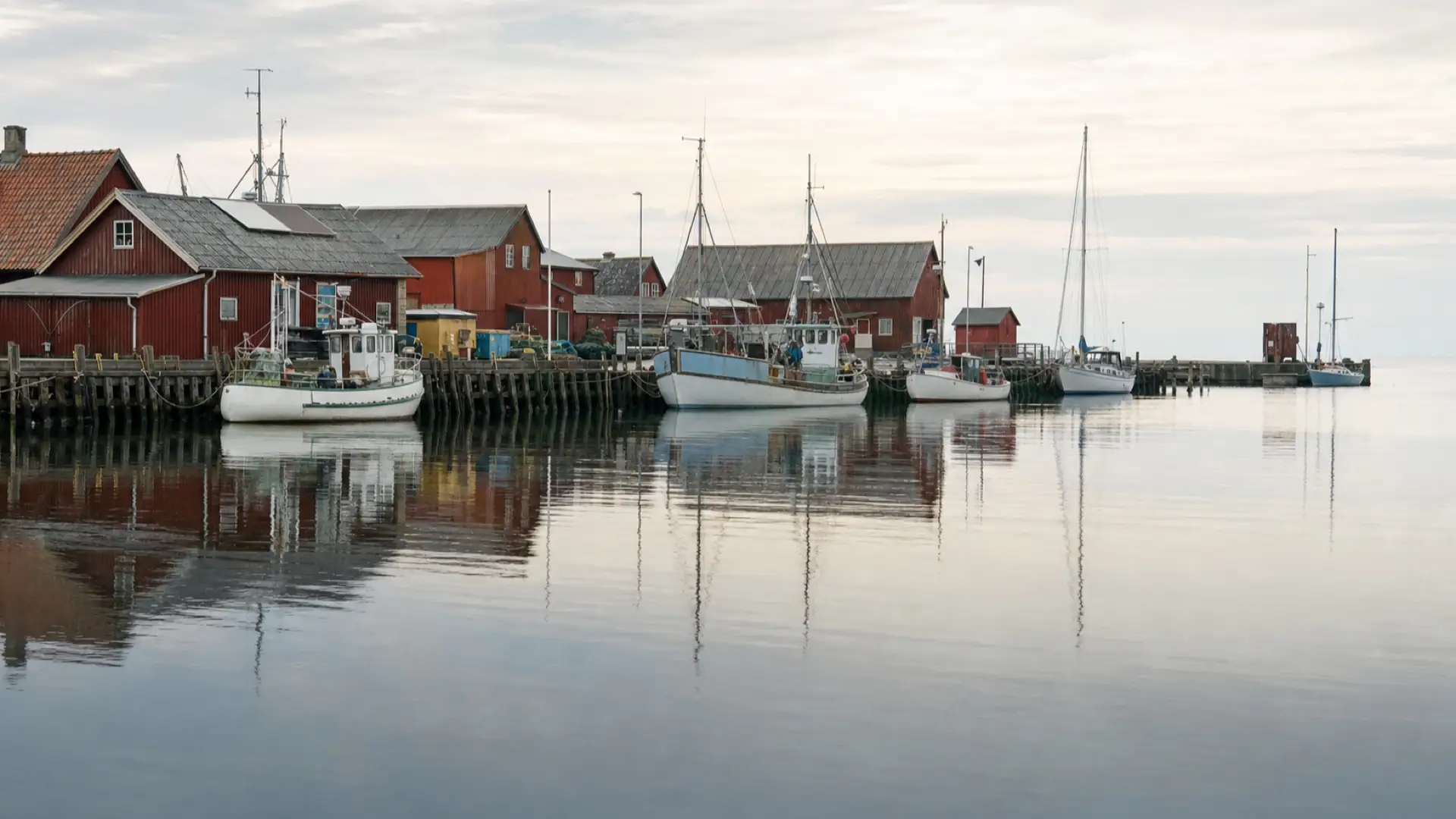 Skanör harbour with red timber sheds and moored fishing boats on still water