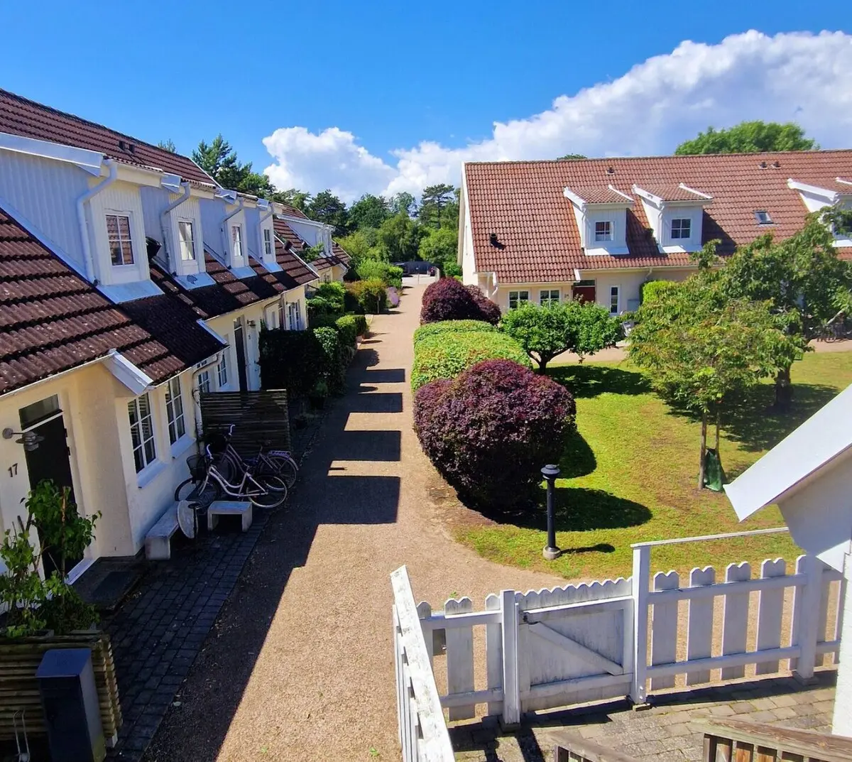 View from patio towards the garden
